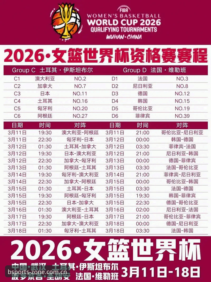 2026世界杯观赛危机深度解析：从签证困局看BSports体育平台的赛事信息服务价值